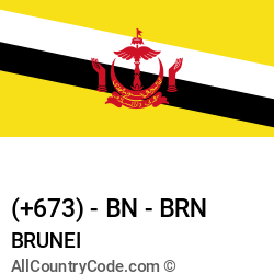 Brunei Country and phone Codes : +673, BN, BRN